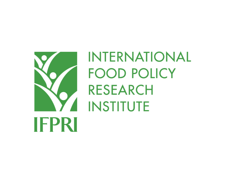 IFPRI Logo IFPRI Logo
